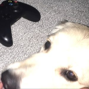 Meet your Posher, Bianca